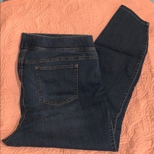 TORRID Lean Jeans Skinny Fit
